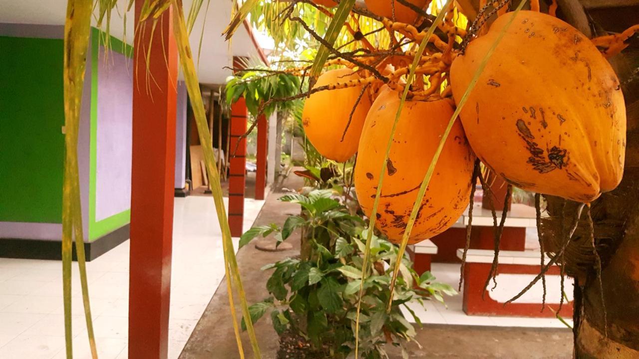 Hotel Segara Mandala Negara  Ngoại thất bức ảnh
